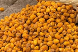 GOLDEN MISIR 1 KG