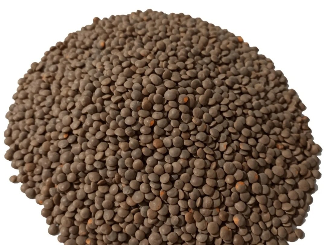 2025/10/1000112553.jpg SİYAH MERCİMEK 1KG - Görsel 1